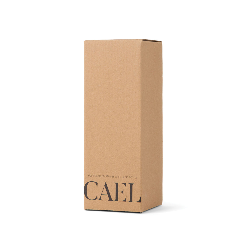 VINGA Cael RCS SS sip-flaska 600ML