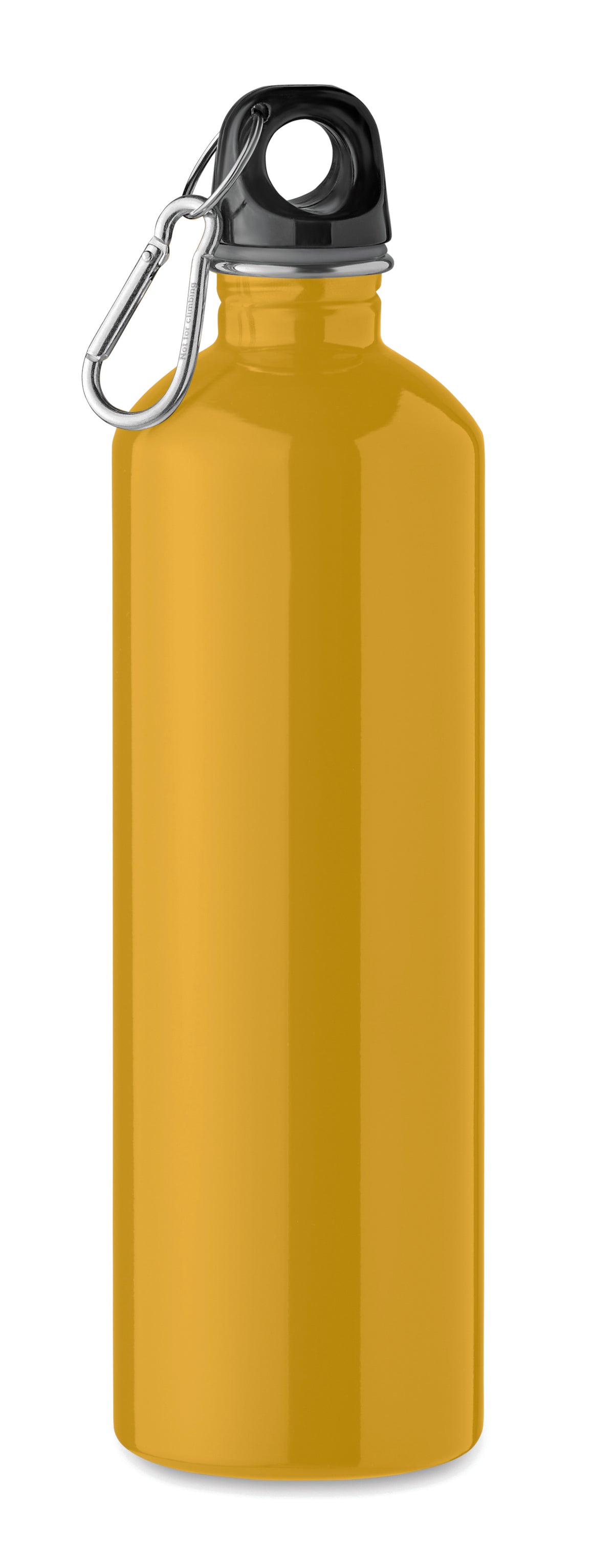 REBIG MOSS