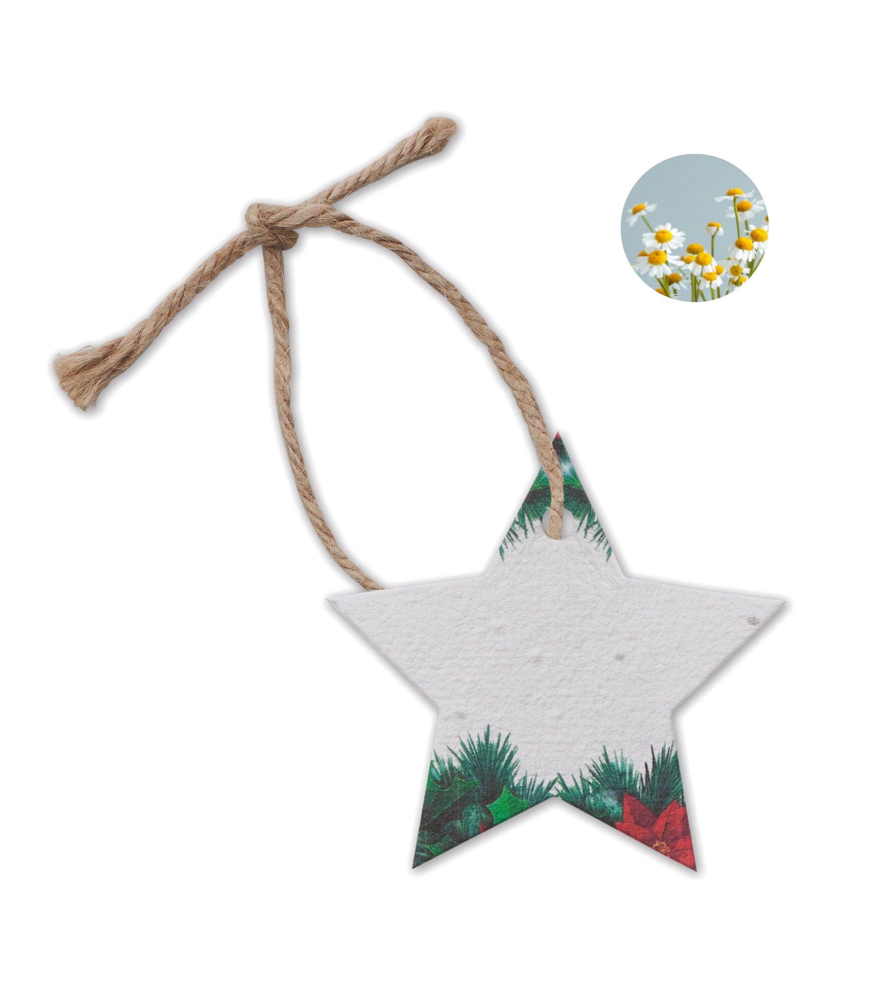 STARSEED