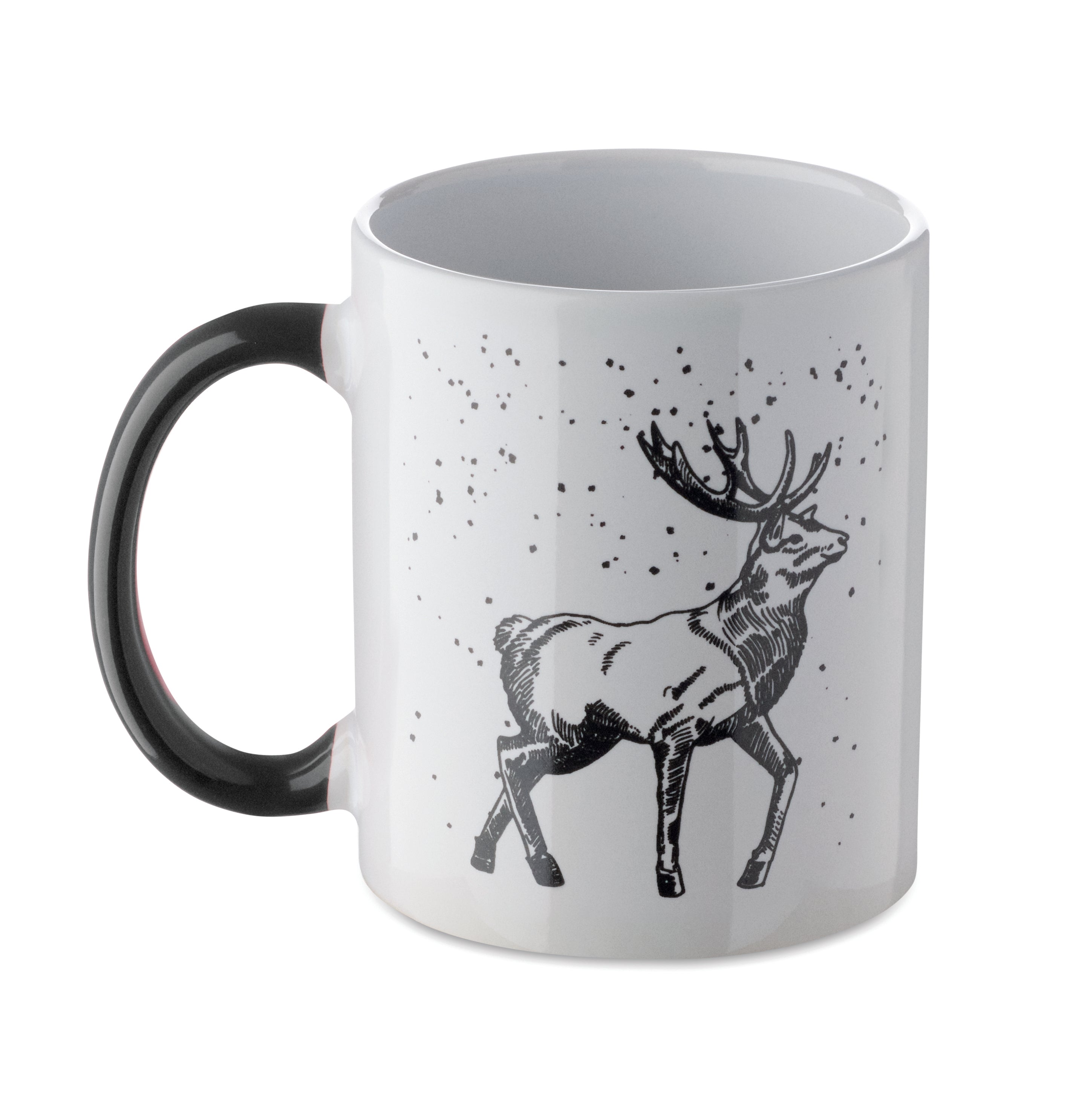 FESTIMUG