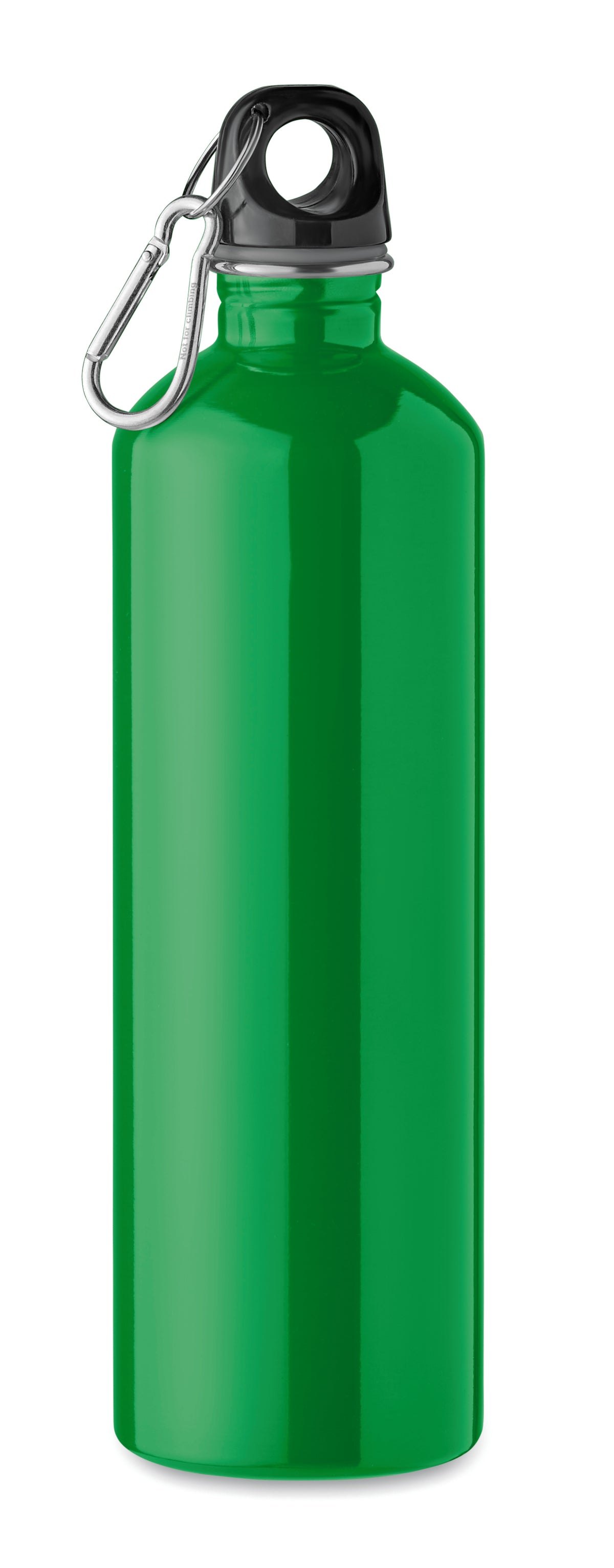 REBIG MOSS